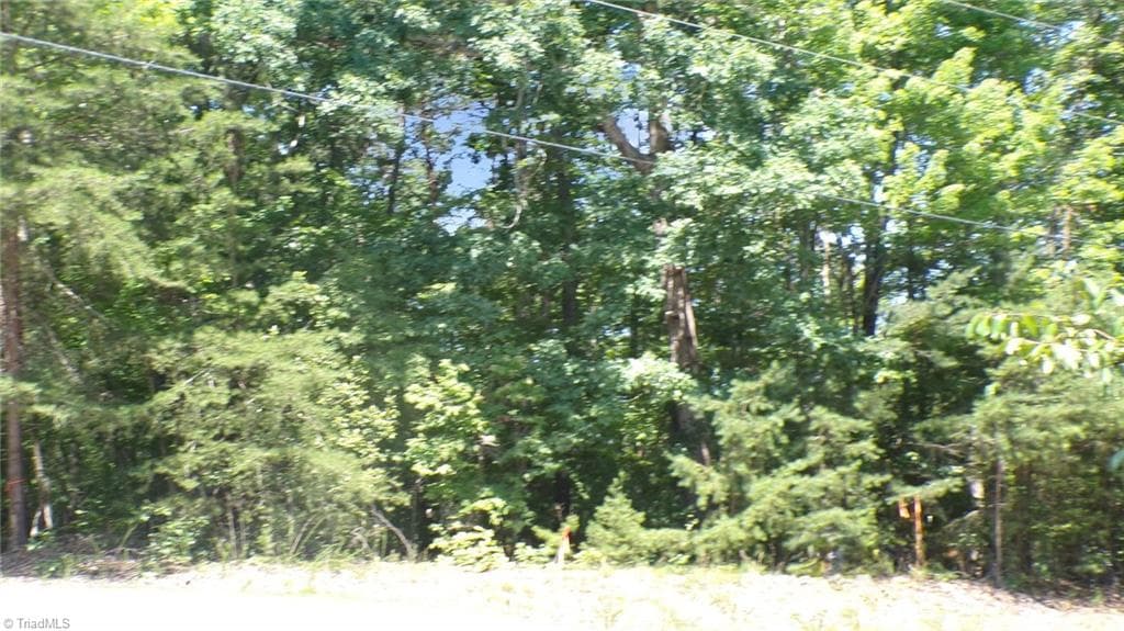 Single Family Residence at 2581 Carl Allred Road, Franklinville NC 27248, photo 11 of 32