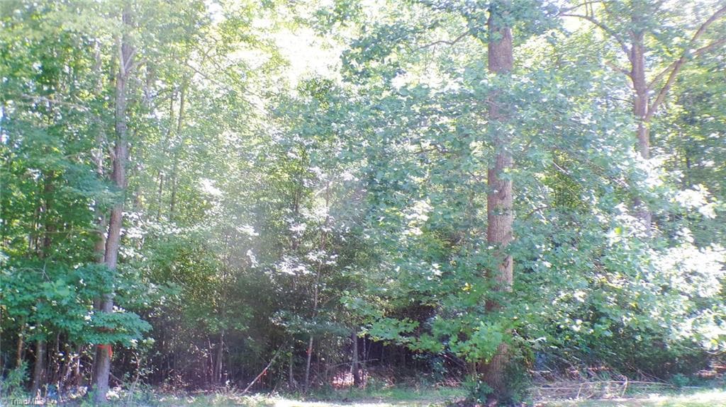 Single Family Residence at 2581 Carl Allred Road, Franklinville NC 27248, photo 31 of 32