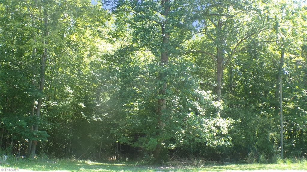 Single Family Residence at 2581 Carl Allred Road, Franklinville NC 27248, photo 4 of 32