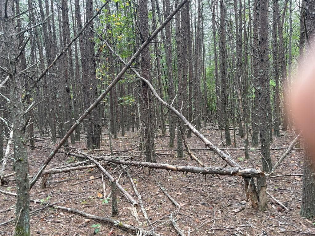 Remarks at 550 Van Buren Road, Stoneville NC 27048, photo 23 of 26