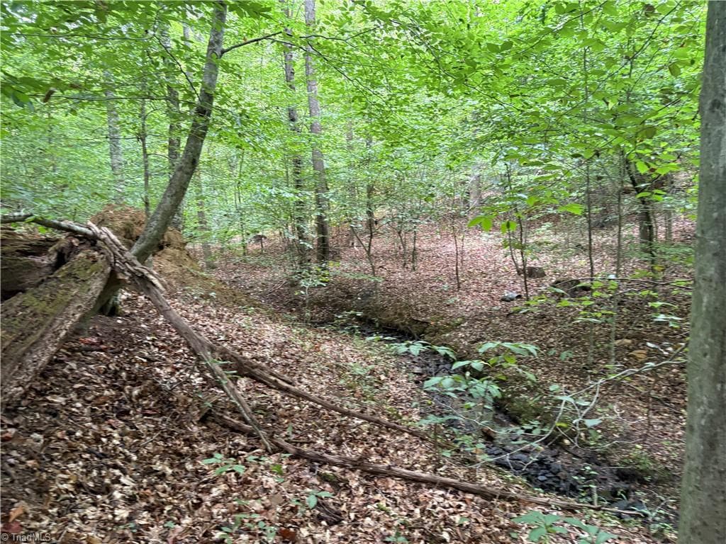 Remarks at 550 Van Buren Road, Stoneville NC 27048, photo 20 of 26