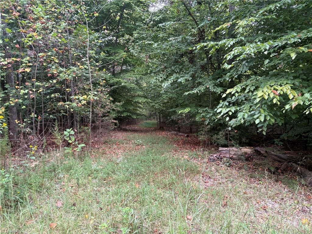 Remarks at 550 Van Buren Road, Stoneville NC 27048, photo 19 of 26
