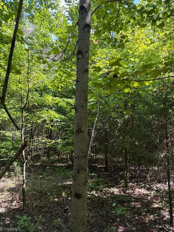 Unimproved Land at 00 Bear Creek Church Road, Mocksville NC 27028, Mocksville, photo 17 of 24
