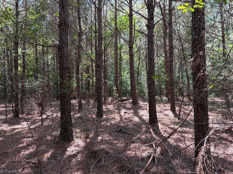 Unimproved Land at 00 Bear Creek Church Road, Mocksville NC 27028, Mocksville, photo 19 of 24