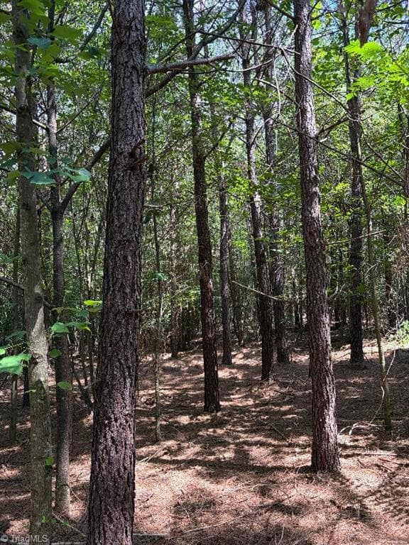 Stack planted pine 14 yr old - 00 Bear Creek Church Road, Mocksville NC 27028, Mocksville