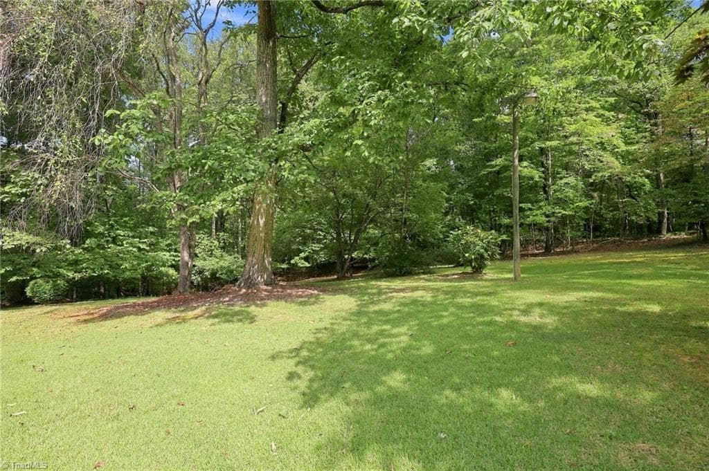 yard - 2036 E Pine Street, Mount Airy NC 27030, Mount Airy