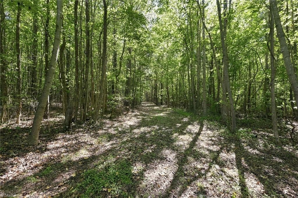 Agriculture at 4416 McConnell Road, McLeansville NC 27301, McLeansville, photo 11 of 32