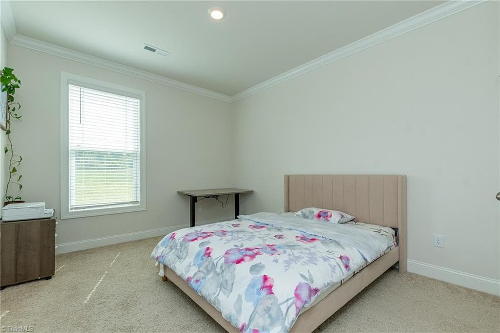 Stick/Site Built at 4201 Toucan Trail, High Point NC 27265, High Point, photo 59 of 100