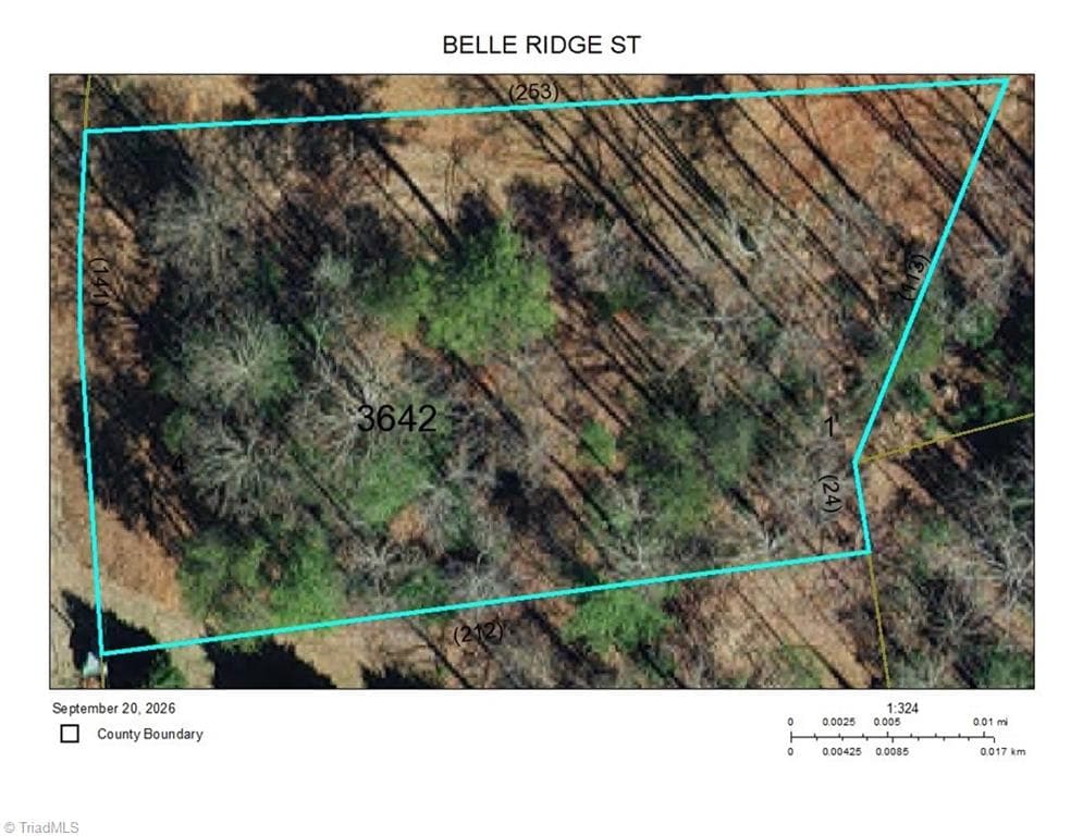 Single Family Residence at TBD Belle Ridge Street, North Wilkesboro NC 28659, North Wilkesboro, photo 15 of 15