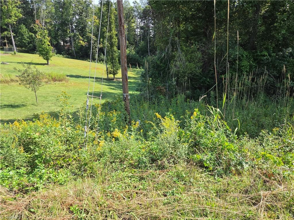 Single Family Residence at TBD Belle Ridge Street, North Wilkesboro NC 28659, North Wilkesboro, photo 4 of 15