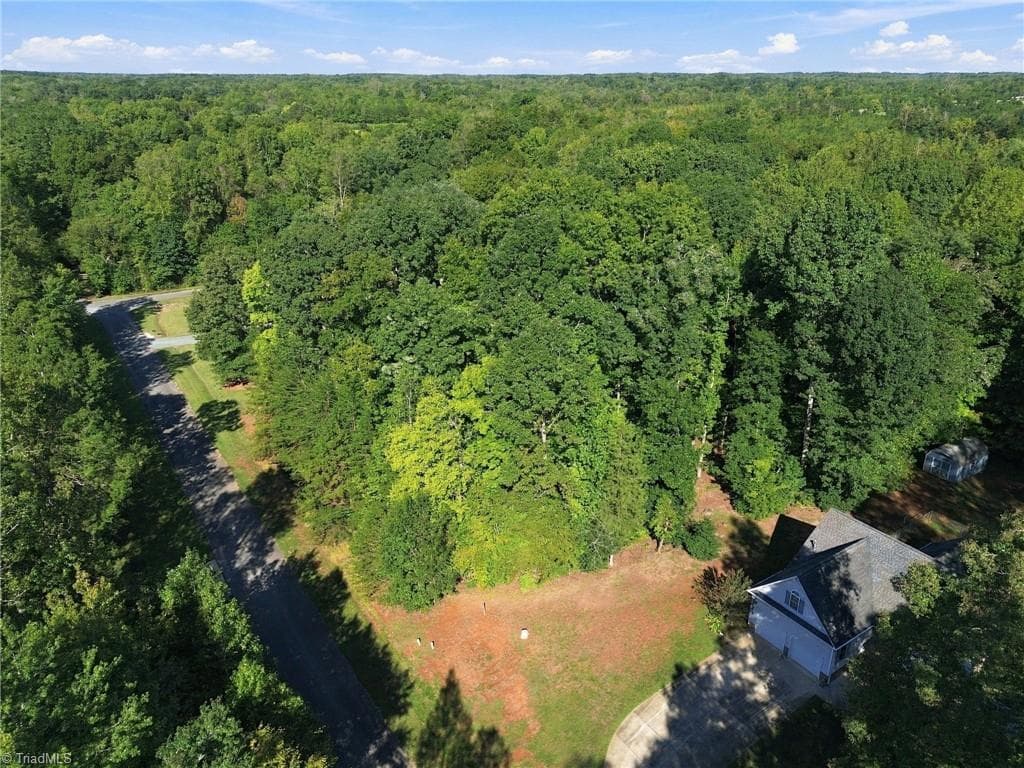 Single Family Residence at 6703 Charismatic Drive, Gibsonville NC 27249, photo 6 of 8