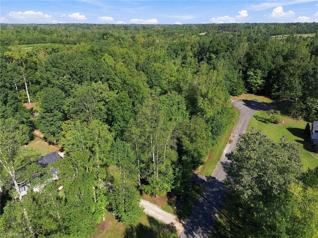 Single Family Residence at 6703 Charismatic Drive, Gibsonville NC 27249, photo 5 of 8