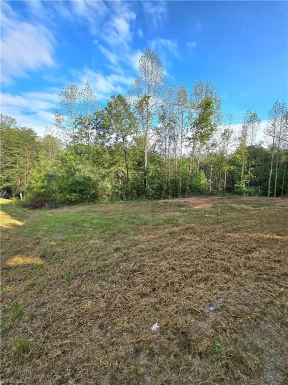4889 & 0 Oak Branch Lane, Walkertown NC 27051