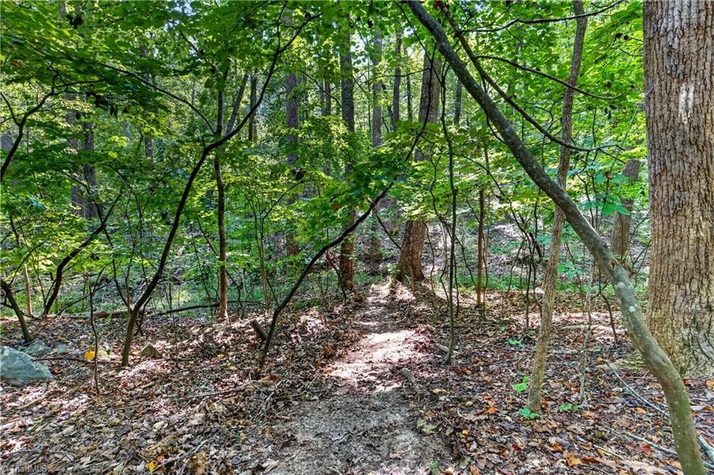 Stick/Site Built at 3377 Faw Drive, Sophia NC 27350, photo 45 of 46