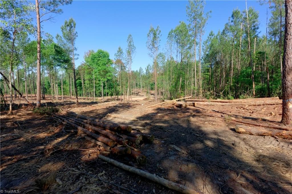 Unimproved Land at 0 Carson Road, Cleveland NC 27013, photo 7 of 18
