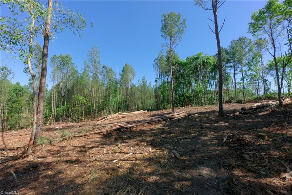 Unimproved Land at 0 Carson Road, Cleveland NC 27013, photo 3 of 18