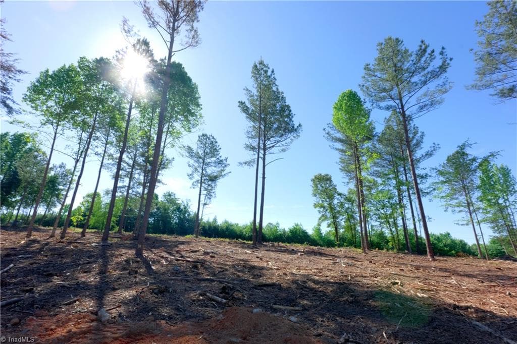 Unimproved Land at 0 Carson Road, Cleveland NC 27013, photo 5 of 18