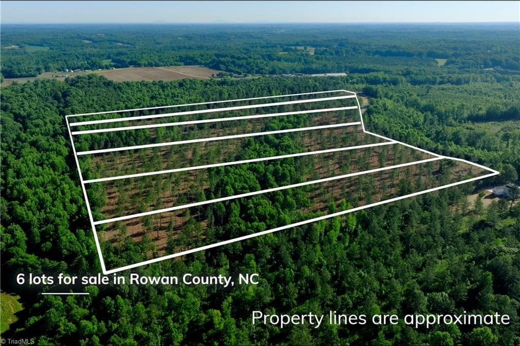 Unimproved Land at 0 Carson Road, Cleveland NC 27013, photo 9 of 18