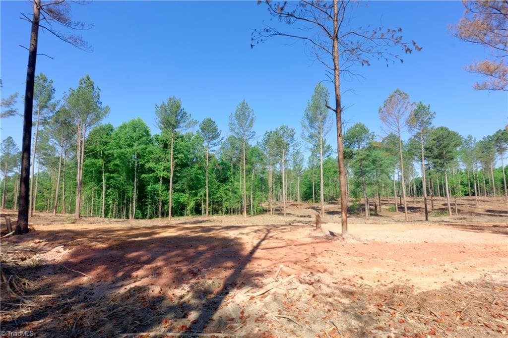 Unimproved Land at 0 Carson Road, Cleveland NC 27013, photo 4 of 18