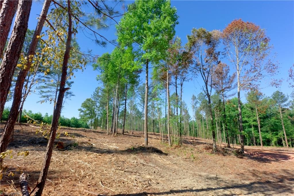 Unimproved Land at 0 Carson Road, Cleveland NC 27013, photo 8 of 18