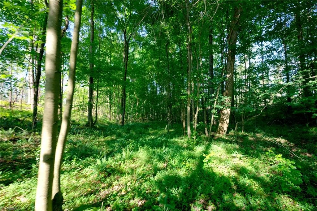 Unimproved Land at 0 Carson Road, Cleveland NC 27013, photo 6 of 18