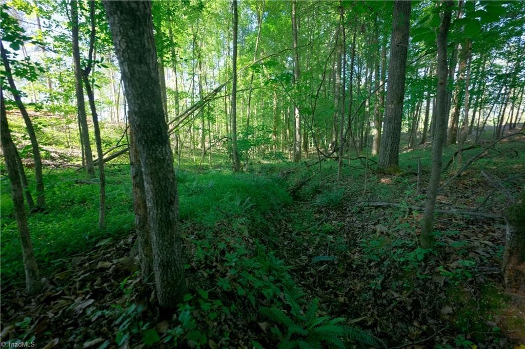 Unimproved Land at 0 Carson Road, Cleveland NC 27013, photo 7 of 18