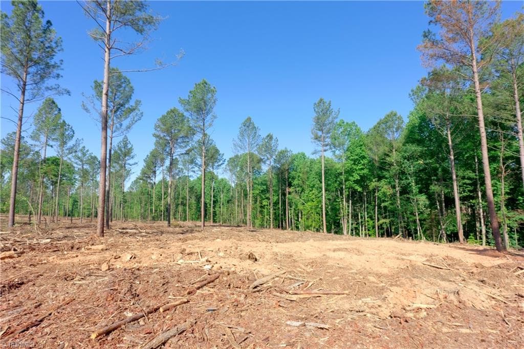 Unimproved Land at 0 Carson Road, Cleveland NC 27013, photo 5 of 18
