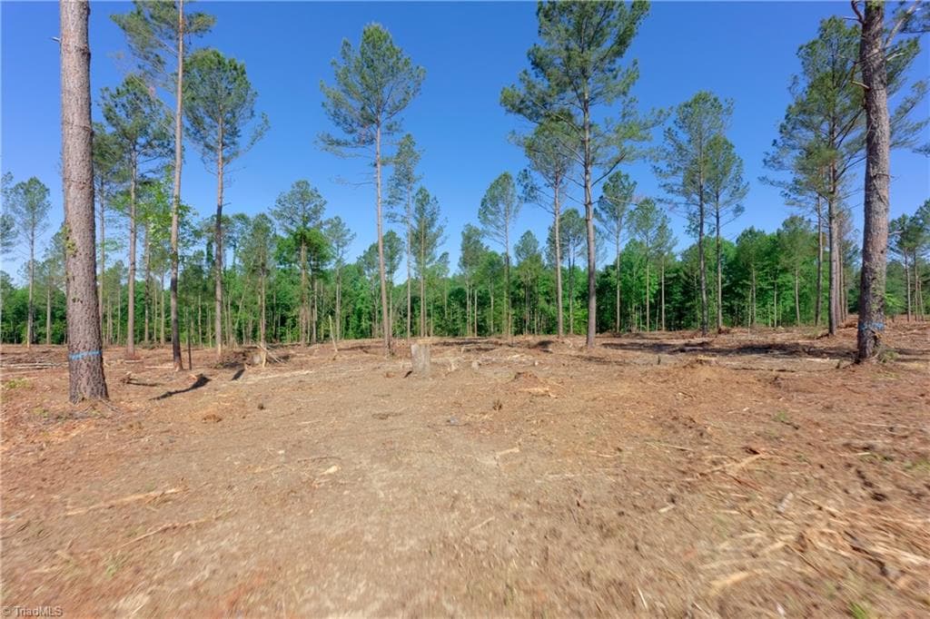 Unimproved Land at 0 Carson Road, Cleveland NC 27013, photo 4 of 18