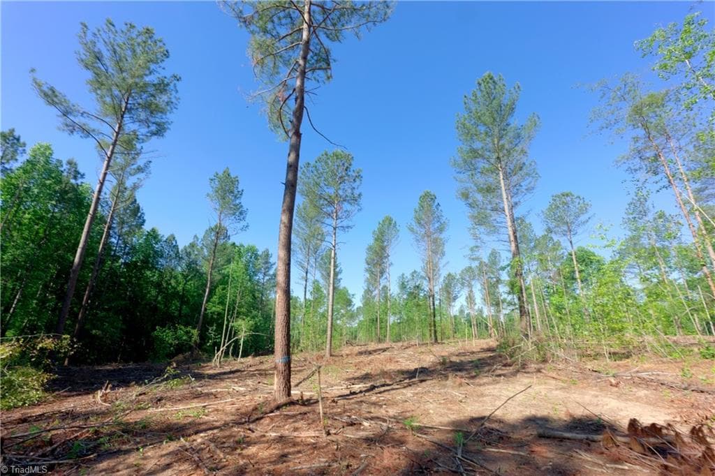 Unimproved Land at 0 Carson Road, Cleveland NC 27013, photo 8 of 18