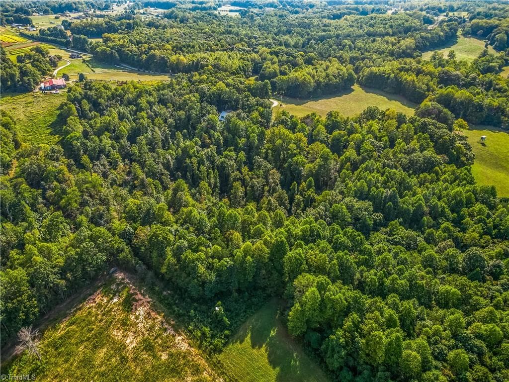 Unimproved Land at TBD Crooked Creek Trail, Boonville NC 27011, photo 15 of 19