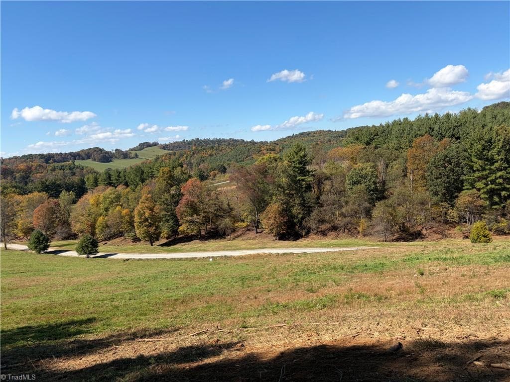 Single Family Residence at 00 Lot 3 New Hope Church Road, Laurel Springs NC 28644, photo 2 of 8