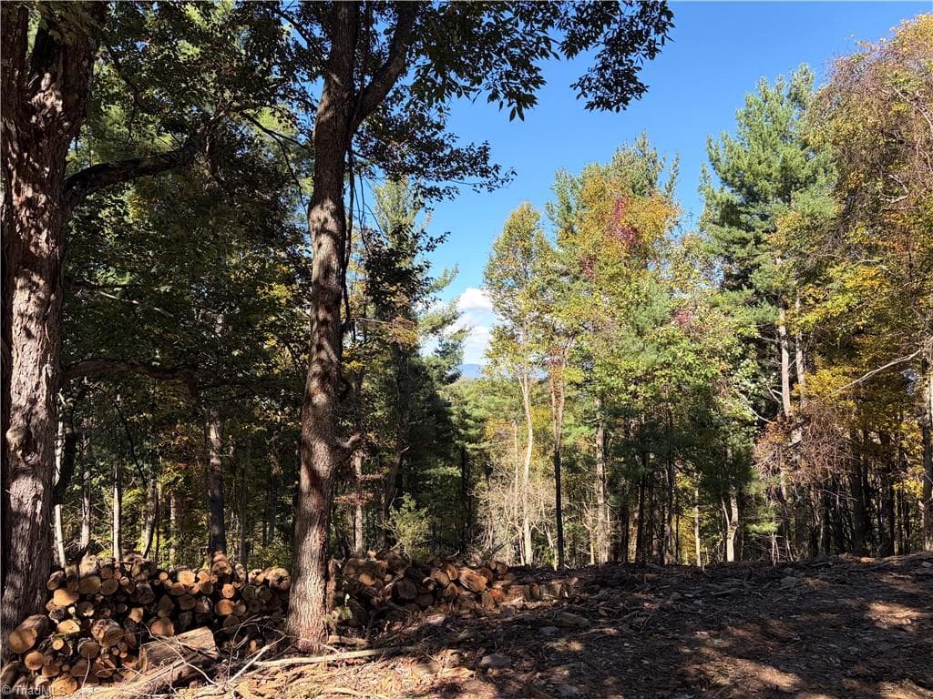00 Lot 5 New Hope Church Road, Laurel Springs NC 28644