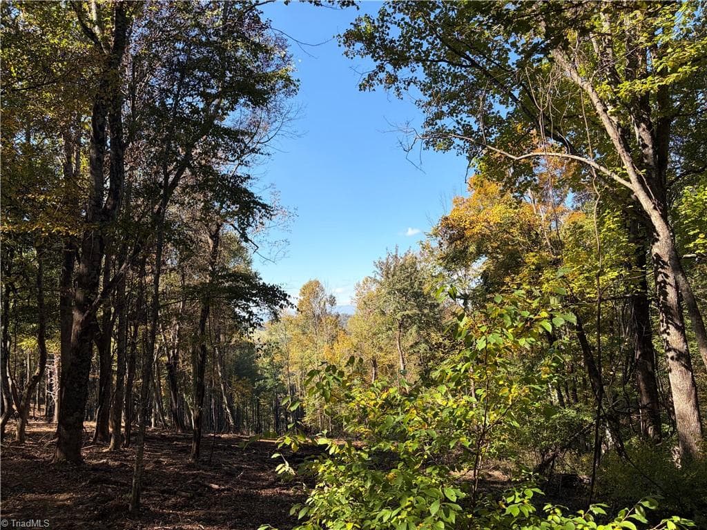 00 Lot 7 New Hope Church Road, Laurel Springs NC 28644