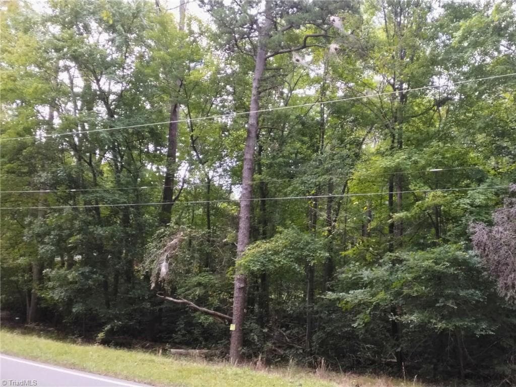 Unimproved Land at 600 Crowder Road, Madison NC 27025, photo 6 of 14