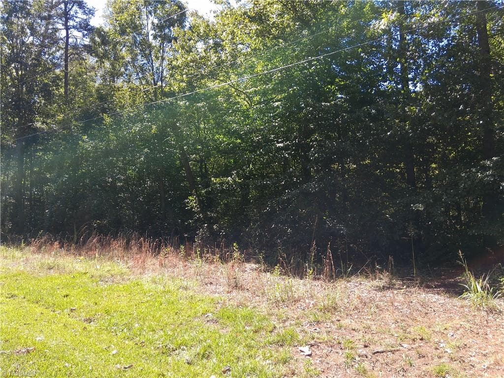 Unimproved Land at 600 Crowder Road, Madison NC 27025, photo 3 of 14