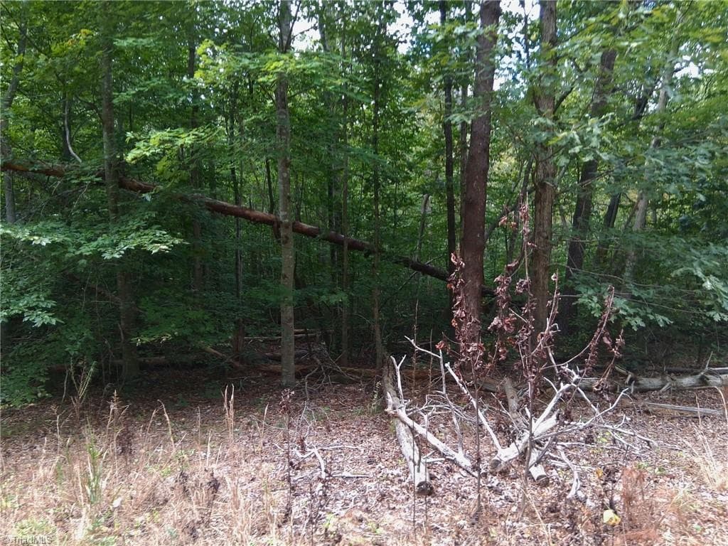 Unimproved Land at 600 Crowder Road, Madison NC 27025, photo 9 of 14