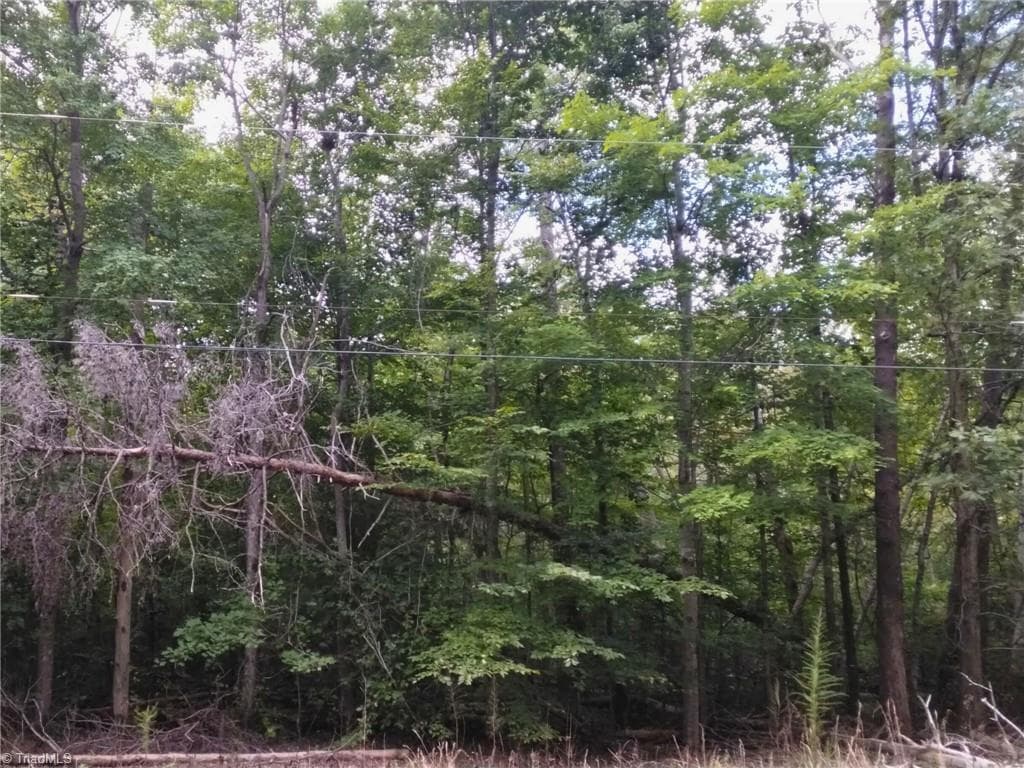 Unimproved Land at 600 Crowder Road, Madison NC 27025, photo 8 of 14