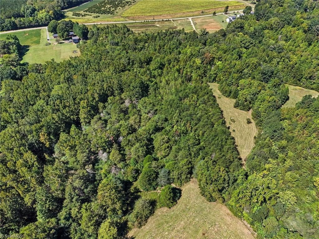Agriculture at 00 High Rock Road, Gibsonville NC 27249, photo 10 of 19