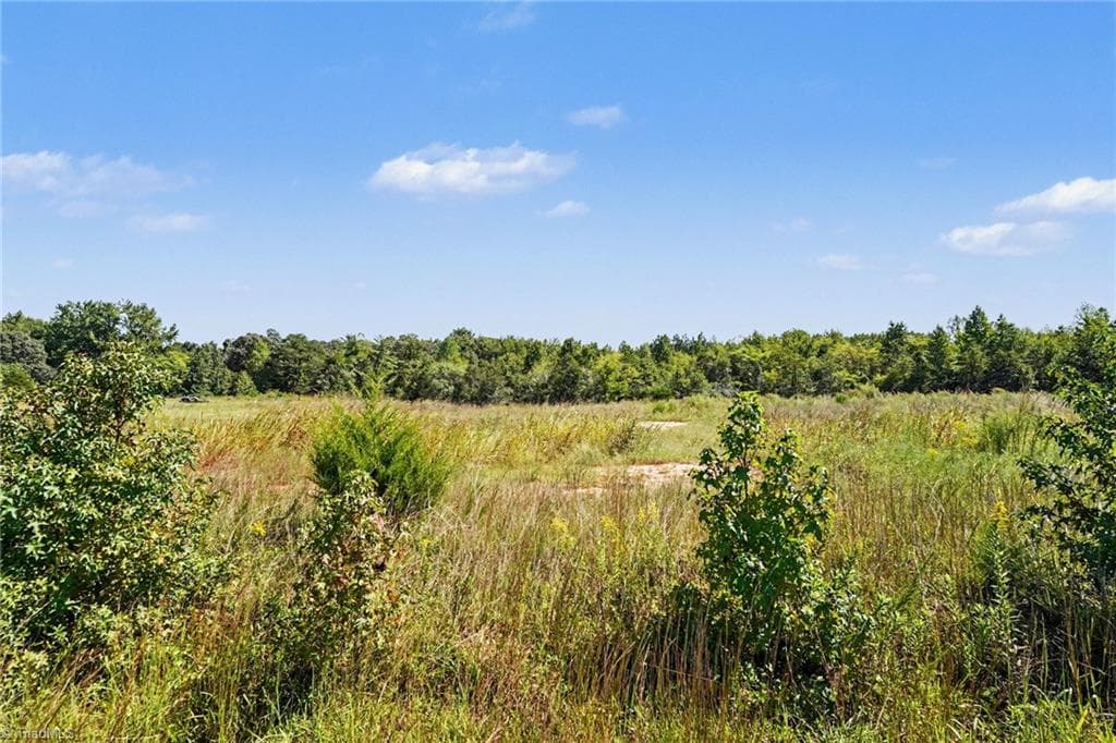 Agriculture at 00 High Rock Road, Gibsonville NC 27249, photo 18 of 19