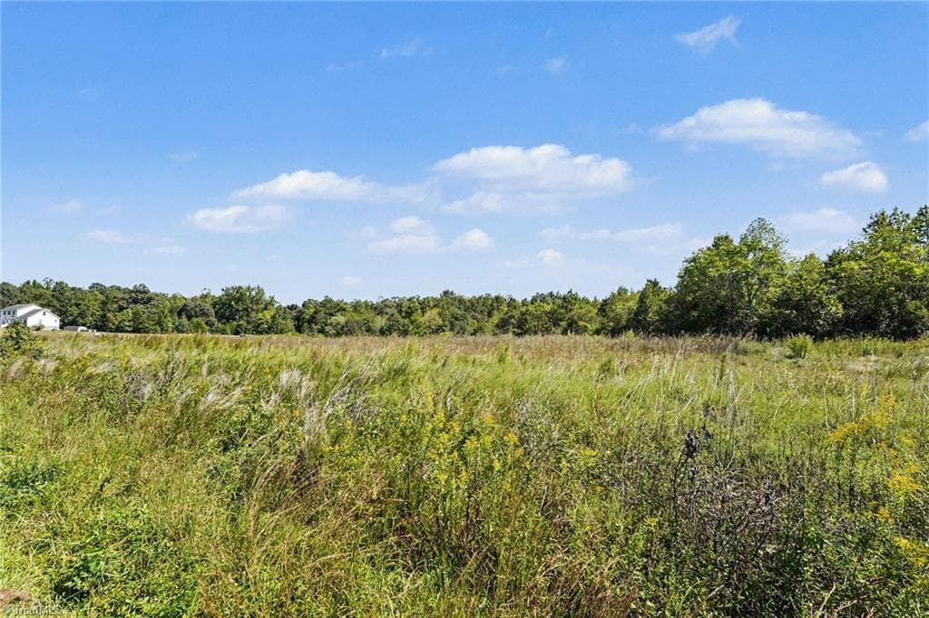 Agriculture at 00 High Rock Road, Gibsonville NC 27249, photo 19 of 19