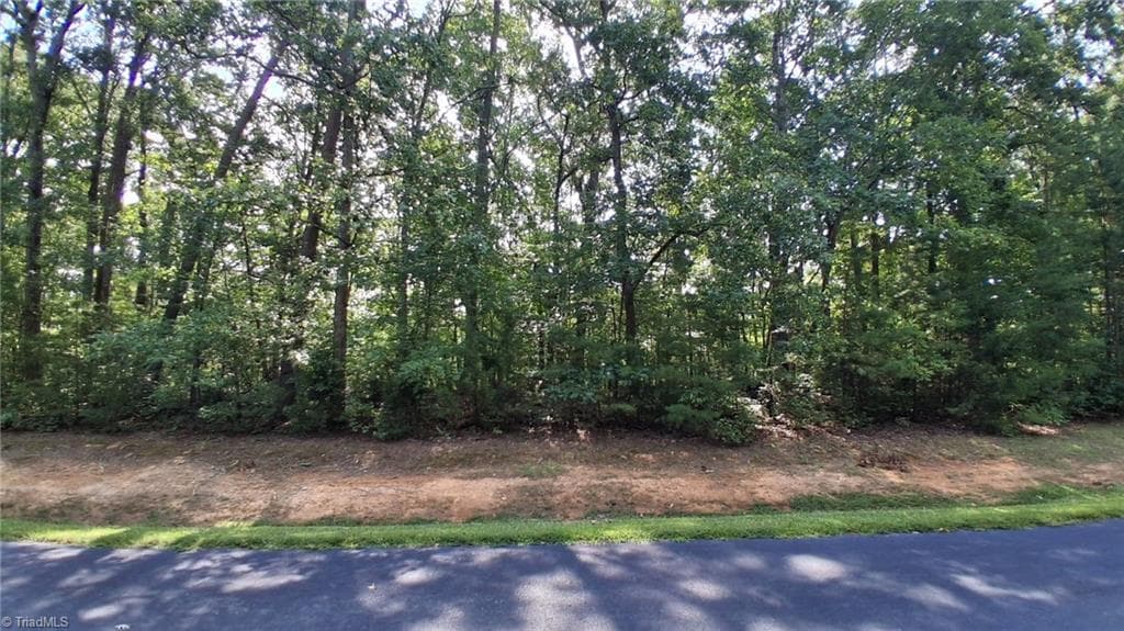 View of property from road - 497 Harbor Drive W, Lexington NC 27292, Lexington