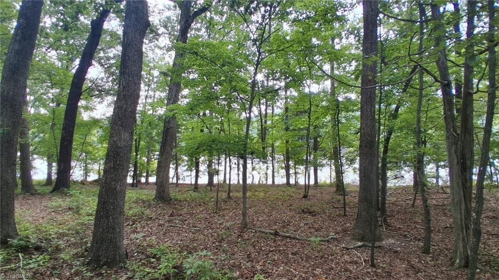 View of lake from homesite - 497 Harbor Drive W, Lexington NC 27292, Lexington