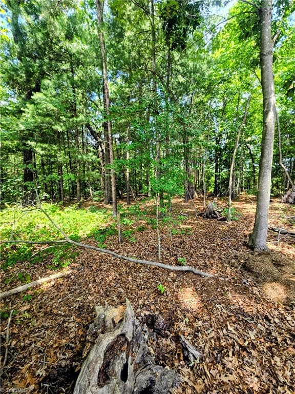 Stick/Site Built at 171 Idlewild Drive, Randleman NC 27317, Randleman, photo 47 of 48