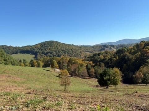 Single Family Residence at 00 Lot 102 Irwin Grocery Road, Laurel Springs NC 28644, photo 2 of 13
