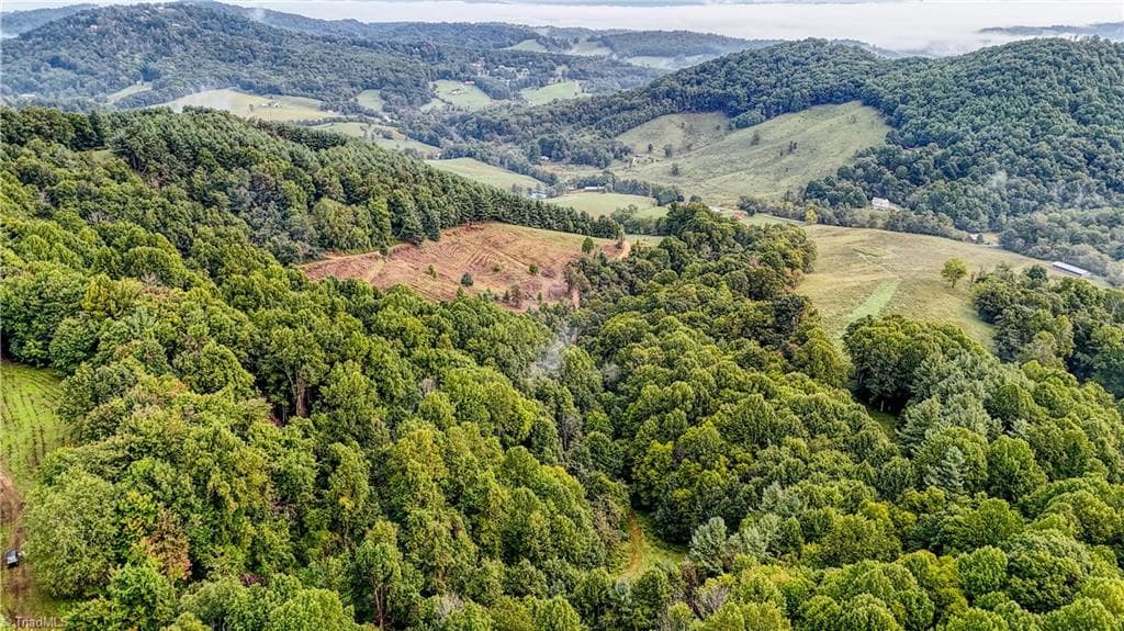 00 Lot 106 Irwin Grocery Road, Laurel Springs NC 28644