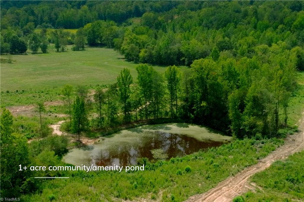 Unimproved Land at 1220 Alamo Drive, Walnut Cove NC 27052, Walnut Cove, photo 31 of 48