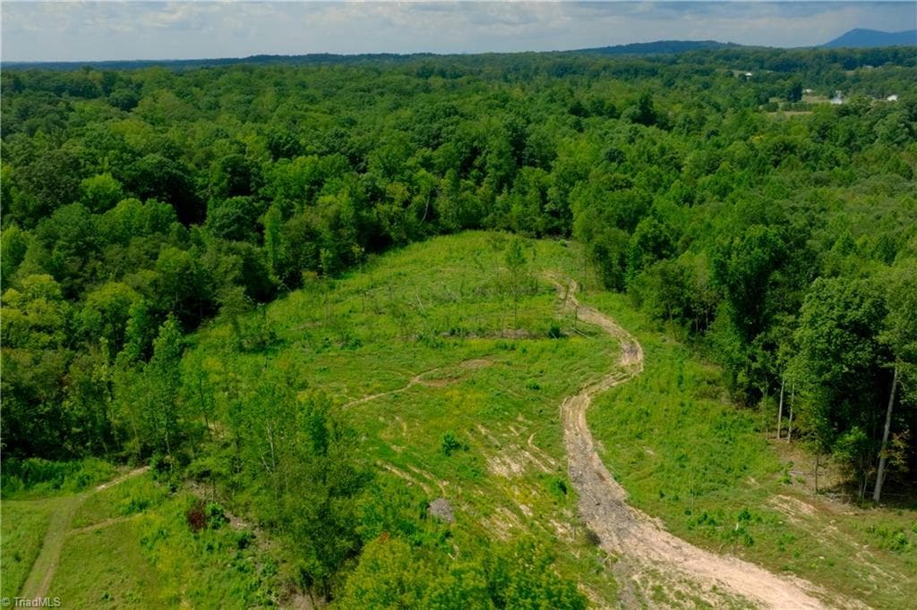 Unimproved Land at 1220 Alamo Drive, Walnut Cove NC 27052, Walnut Cove, photo 21 of 48