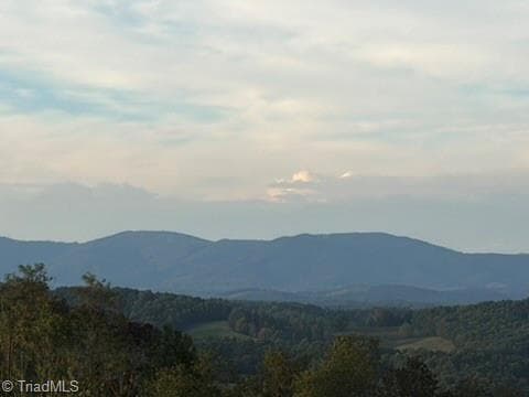 Single Family Residence at 00 Lot 20 New Hope Church Road, Laurel Springs NC 28644, Laurel Springs, photo 27 of 32