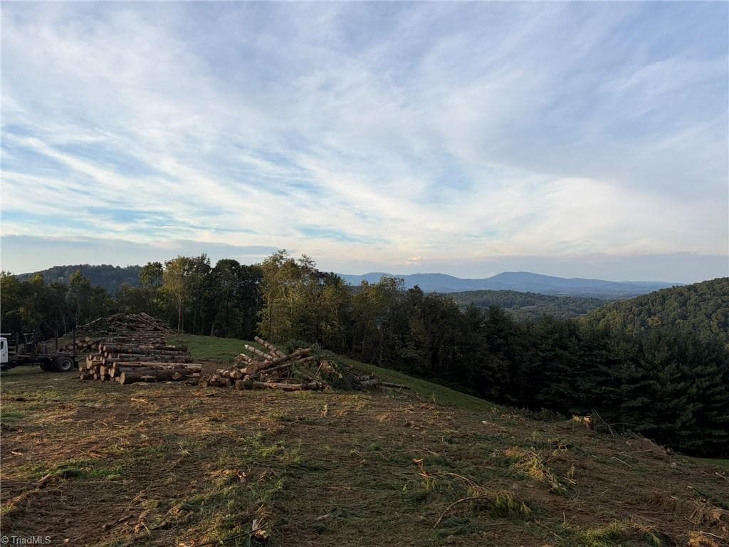 Single Family Residence at 00 Lot 20 New Hope Church Road, Laurel Springs NC 28644, Laurel Springs, photo 15 of 32