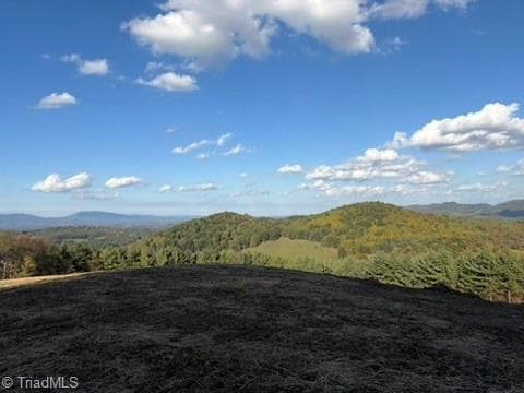 00 Lot 24 New Hope Church Road, Laurel Springs NC 28644